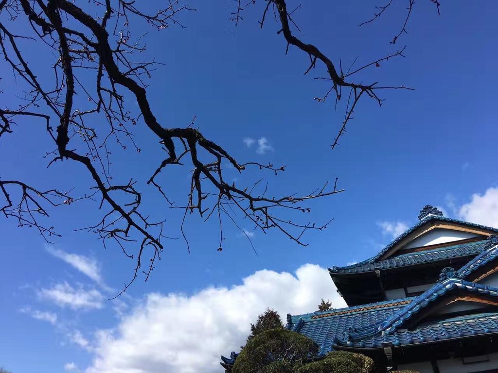 Kougetsu Sanso -- Moon Villa in Tokyo Hachiōji Esterno foto