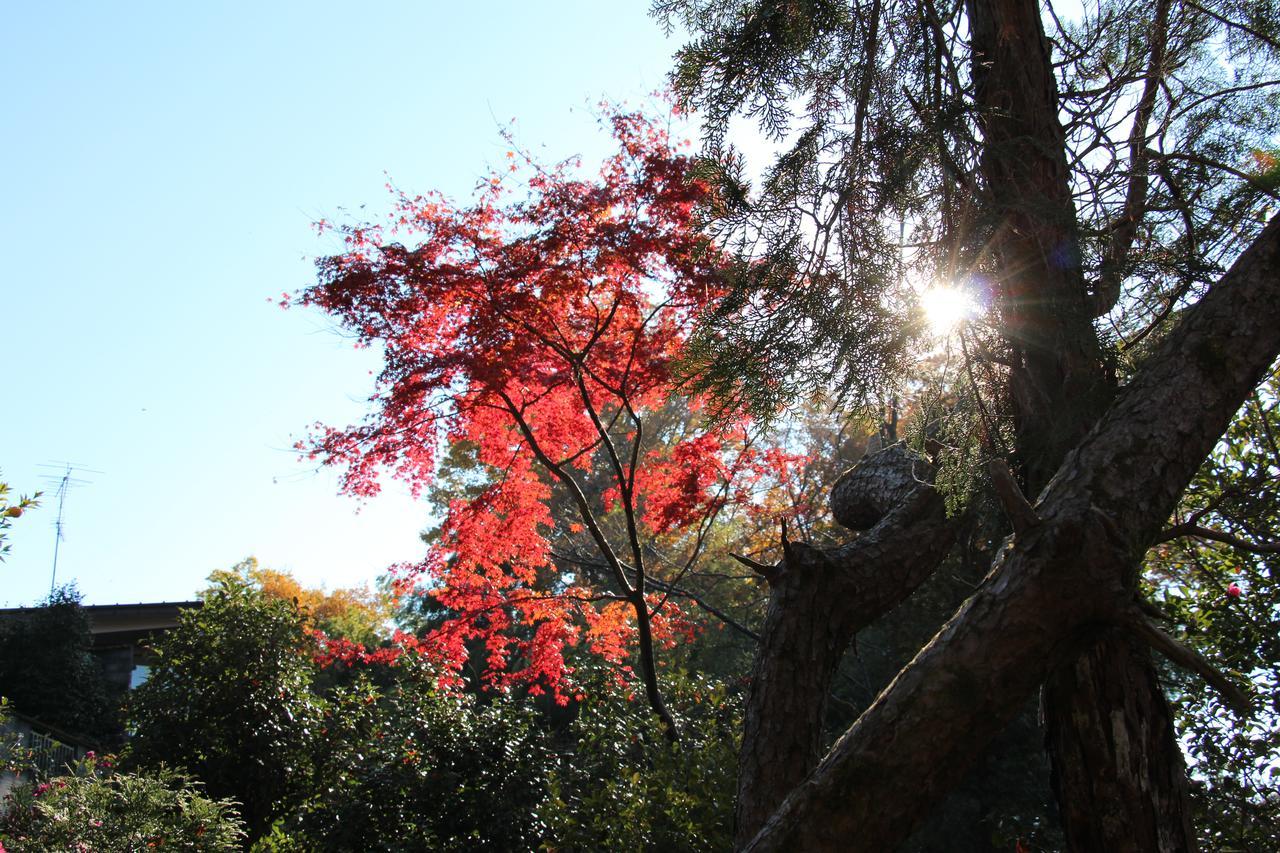 Kougetsu Sanso -- Moon Villa in Tokyo Hachiōji Esterno foto